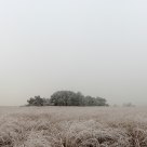 Frozen Fog